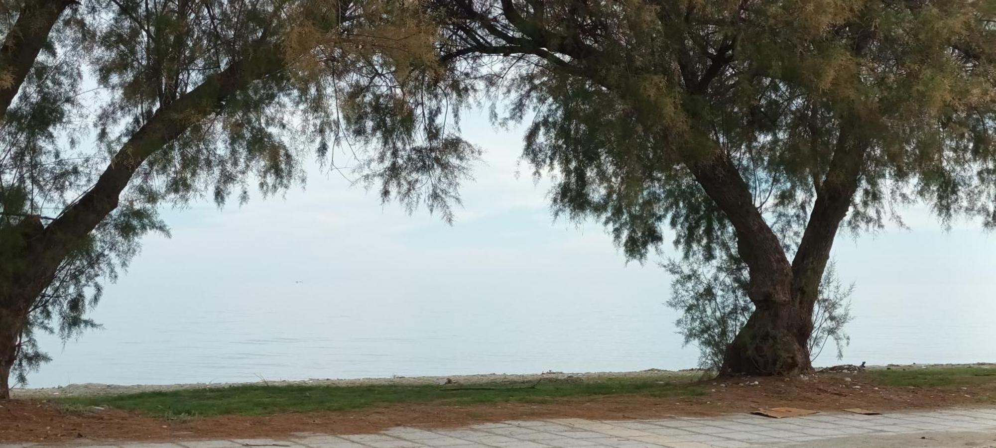 Mana Mia Seaside Apartments เลปโตการายา ภายนอก รูปภาพ